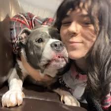 Brie 🧀 just wanted to join the cuddle party