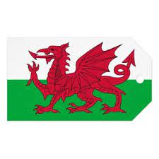 La bandera de gales fue adoptada en 1959. Pin On Flags