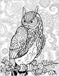 Wichtig ist aber immer, dass die angebotenen malvorlagen kindgerecht aufgemacht sind. Mandala Eule Malbuch Fur Erwachsene