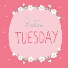 Thoughtful Tuesday In 2021 Hello Tuesday Happy Day Quotes Happy Tuesday Quotes