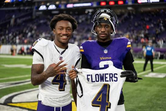 Minnesota Vikings Roster | Daily Norseman