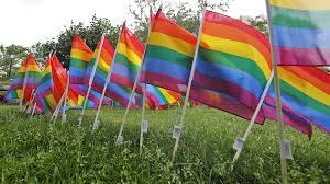 Here's 20 or more pride flags you've never seen at your local parade or bar (and who they here are several other lgbt flags and pride flags: Weymouth Woman Launches Pride Flag Project