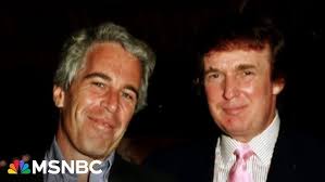 Scarlett Norris Field/Lab Experience 2024