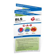 The american heart association offers elearning and blended learning courses to provide complete, flexible training solutions. Aha 2020 Basic Life Support Bls Reference Card 20 1132
