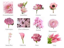 Wedding Flowers Wedding Weddings Flowers Spring Flowers Flowers By Season Seasonal Flowers Pi Spring Wedding Flowers Wedding Flowers Dyi Wedding Flowers