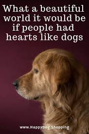 We did not find results for: Vlbsyegpuim Lm