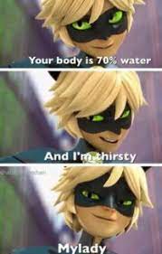 You Flirt Chat Noir Adrien Agreste X Reader One Shots Miraculous Ladybug Movie Miraculous Ladybug Anime Miraculous Ladybug Memes