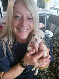 What should I name my Boston Terrier?