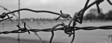Image result for holocaust photos