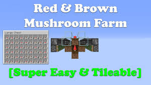 Next, place a few torches around. Easiest Automatic Red Brown Mushroom Farm Tutorial Minecraft Java 1 16 4 Youtube