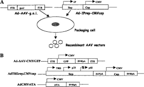 Image result for Black 1999 AAV