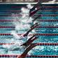 2025 Mandurah LC Challenge — Rockingham Stingrays event image