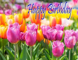 Titti bianchi tanti auguri di buon compleanno alla. Foto Fiori Compleanno Immagini E Vettoriali