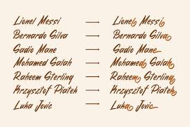 Tracer script font download is available free from fontget. Nurani Script Font Befonts Com