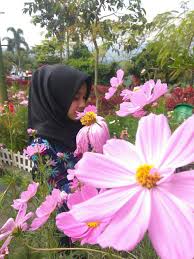 Pada kesempatan kali ini saya akan membagikan berbagai keindahan bunga dengan gambar bunga yang warna warni dan menyejukkan mata berikut ini. Bunga Tercantik Diantara Bunga Bunga Cantik Fotografi Mi Community Xiaomi