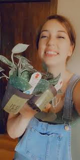 Scindapsus pictus exotica continuing downsizing my plants, check my other  listings for more $15