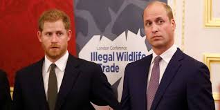Harry and william blasted for 'sad, pathetic' feud as 'petty squabble' mires philip's day. Prinz Harry Und William Haben Seit Sechs Monaten Keinen Kontakt