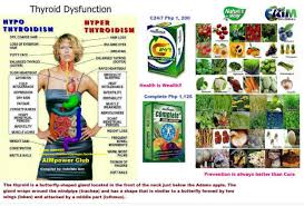 Image result for AIm Global Products