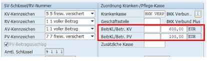 Selbstständige, freiberufler und arbeitnehmer mit einem einkommen über der einkommensgrenze können sich in einer der gesetzlichen krankenkassen. Sap Hcm Beitragsherabsetzung Bei Freiwillig Versicherten Arbeitnehmern Wahrend Der Kurzarbeit