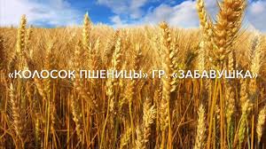 Злаки распространены на всех континентах. Kolosok Pshenicy Kim R V Youtube