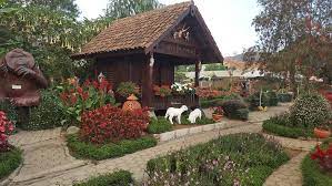 Tanaman vinca bunga vinca juntai memperbanyak tanaman vinca bunga vinca ungu bunga vinca layu manfaat bunga vinca видео pemangkasan tanaman vinca muda канала inspirasi berkebun. Rekreasi Di Argowisata Kebun Bunga Begonia Lembang Pasti Seru Dan Menyenagkan Wisatakaka