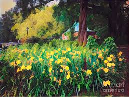 In central park, winter gives way to spring colorfully and obviously, with sprouts, shoots, buds and blooms in april. The Blossoms Of Spring Central Park New York Photograph By Miriam Danar