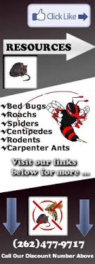 Residential and commercial flea, tick & termite control services in boynton beach, hollywood & fort lauderdale, fl. Cole Pest Control Llc Home Facebook