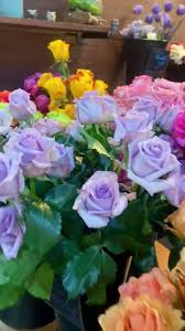 Located amidst the towers and buildings in penn square, central market consists of over 80 friendly stand holders, selling their fresh wares in a historical atmosphere. Central Market Flowers Home Facebook