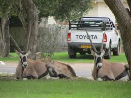 Namibia has closed its borders until further notice. Namdeb Urged To Sell Oranjemund Properties Business Namibian Sun