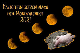 Leben im rhythmus der natur. Mondkalender 2021 Kartoffeln Setzen Nach Dem Mond