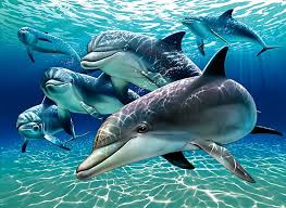 Image result for ‫تبلت اابی‬‎