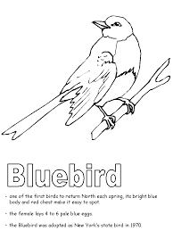 Here are coloring pages for adults inspired by the city that does not sleep : Bluebird Coloring Page