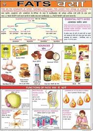 Fats Food Nutrition Chart