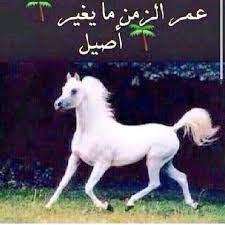 (كذلك يضرب الله وهذا مثل ضربه الله. Ø§Ù„Ø³ÙŠØ¯ Ø³Ù„Ø·Ø§Ù† Ø§Ù„Ø¸ÙÙŠØ± Op Twitter Ø§Ù„Ø§ØµÙŠÙ„ Ø§ØµÙŠÙ„ ÙˆØ§Ù„Ø°Ù‡Ø¨ Ø°Ù‡Ø¨ Ù„ÙˆØªØ¯ÙÙ†Ù‡ Ù¥Ù Ø¹Ø§Ù… ÙˆØªÙŠØªØ®Ø±Ø¬Ù‡ Ù…Ø¹Ø¯Ù†Ù‡ Ù…Ø«Ù„ Ù…Ø§Ù‡Ùˆ Ù…Ø§ØªØºÙŠØ± Ø¨Ù‡ Ø´ÙŠØ¡ÙˆØ§Ù„Ø§ØµÙŠÙ„ Ù…Ø§ÙŠØºÙŠØ±Ù‡ Ø§Ù„Ø²Ù…Ù† Ø¬Ùˆ Ø§Ù„ÙƒÙˆÙŠØª Ø¬Ù…ÙŠÙ„ ÙˆØ±ÙˆØ¹Ù‡ Http T Co Touiqsttfz