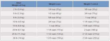Hills Science Diet Adult Perfect Weight Small Toy