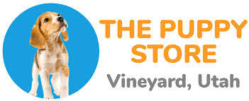 What others are clicking on Puppies For Sale Vineyard Utah Puppy Store Puppy Adopt