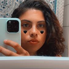 how would yall ship a ball python and who would you use to ship? ￼