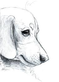 Cartoon tiere zeichnen zeichnen lernen malen und zeichnen zeichnungen bleistift einfach niedliche zeichnungen hund cartoons kawaii zeichnungen kleine hunde skizzen zeichnen. 53 Hund Zeichnungen Ideen Hund Zeichnungen Zeichnungen Zeichnung