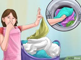 Es gibt nur wenige dinge, die schlimmer sind als der penetrante geruch von katzenurin. Geruch Von Hundeurin Beseitigen Wikihow