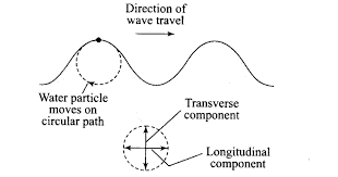 9.(a) explain the difference between transverse and longitudinal waves, referring in your answer to the direction in which the waves travel. Ncert Exemplar Class 11 Physics Chapter 14 Waves Learn Cbse