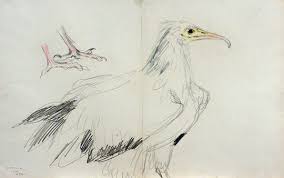 The egyptian vulture also appears in the bible with the name of râchâm, often translated as the egyptian vulture was also considered to be a good bird in india. Through Sketches The Japan Times