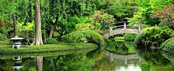 Fort Worth Botanical Gardens Japanese Garden Botanical Gardens Japanese Garden Design
