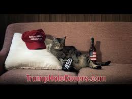 Kedi Popolari Icin Donald Trump Kolyeleri Tasarladilar Ajanimo