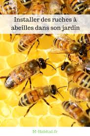 Installer Des Ruches A Abeilles Dans Son Jardin Avec Images Abeille Ruche Jardins