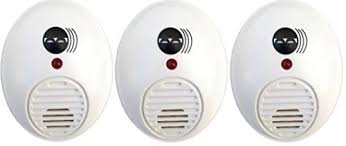 How did i get gnats? Ultrasonic Pest Repeller 3 Pack Uses Alternating Frequencies To Eliminate And Repel Pests Mouse Mosquito Ant Bugs Stinkbugs Fruit Flies And More Eco And Environmentally Safe Buy Online In Dominica At