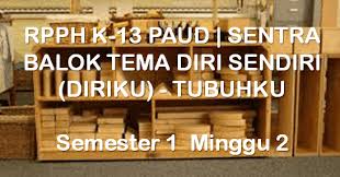 Contoh rkh sentra persiapan tema diri sendiri. Kko Paud Kota Semarang Rpph K 13 Paud Sentra Balok Tema Diri Sendiri Diriku Tubuhku