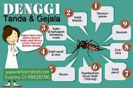 Sebaik sahaja anda dijangkiti dengan salah satu daripada virus denggi, anda akan mengembangkan imuniti terhadap virus tersebut sepanjang hayat anda.ketahuilah lebih lanjut dengan melayari. Punca Demam Denggi Tanda Dan Cara Merawat Agar Cepat Sembuh Netizen Sihat