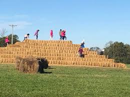 It was such a beautiful day yesterday and today is going to be gorgeous as  well. Come out for fall fun.