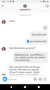 Crazy Cat Dad Masterfully Trolls Instagram Spambot With Brutally Dark Humor Dark Humor Cat Dad Humor