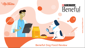Beneful dog food recall history. Unbiased Beneful Dog Food Review 2021 Pup Junkies